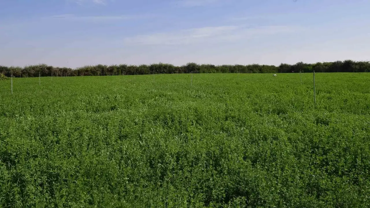امتداد المرتفع الأزوري.. المغرب يترقب استقرار الحالة الجوية خلال الأيام المقبلة